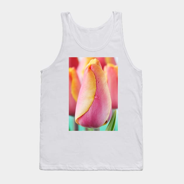 Tulipa  &#39;Indian Summer&#39;  Triumph Group  Tulip Tank Top by chrisburrows